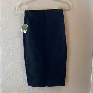 Iris Small Pencil Skirt